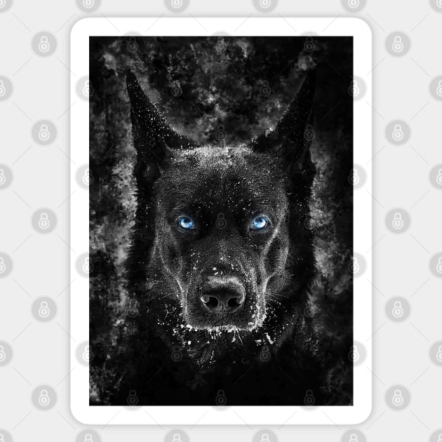 Black wolf dog with blue eyes sales